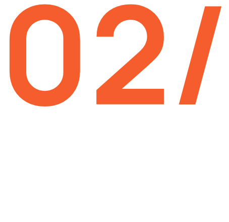 Custom Web Development
